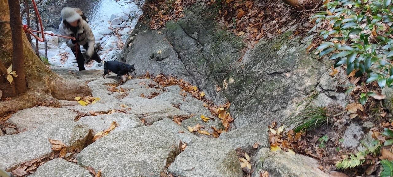 釈迦ヶ岳 必死で登る❗️