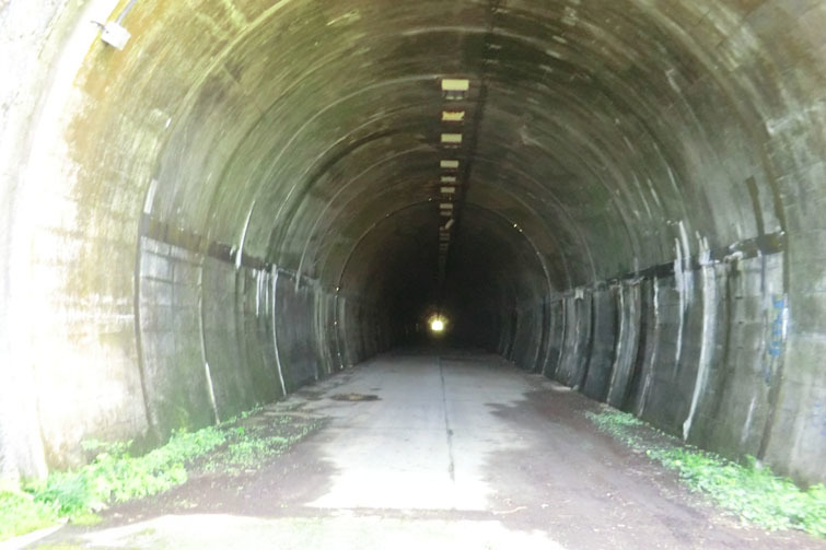 大室山 ゴメサンさんの大室山 丹沢 畦ヶ丸山 菰釣山の活動日記 Yamap ヤマップ