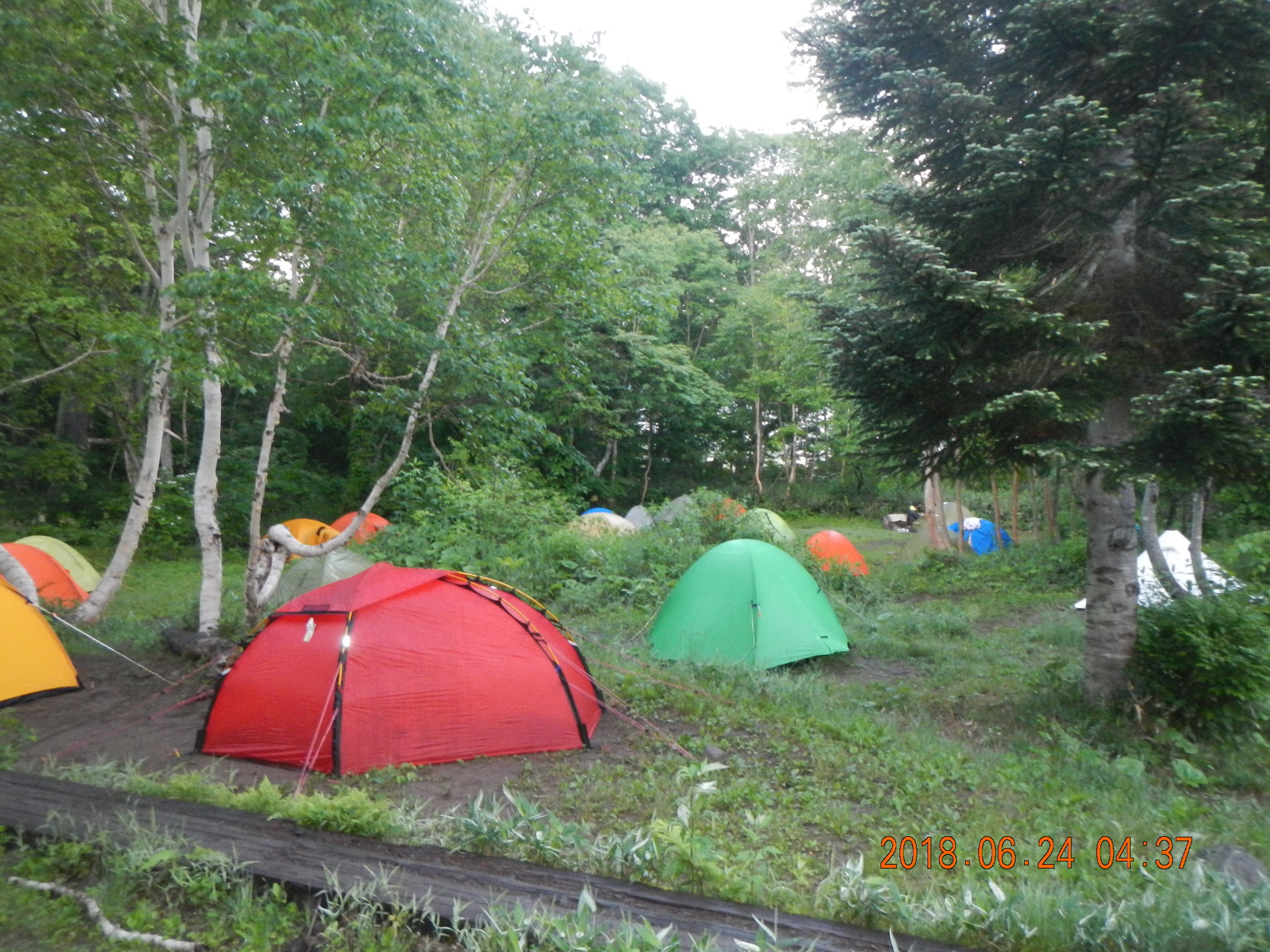見晴キャンプ場ー長蔵小屋ー沼山峠ー沼山休憩場ー七入バス停ー御池駐車場 ヒゲジィさんの尾瀬 燧ヶ岳の活動データ Yamap ヤマップ