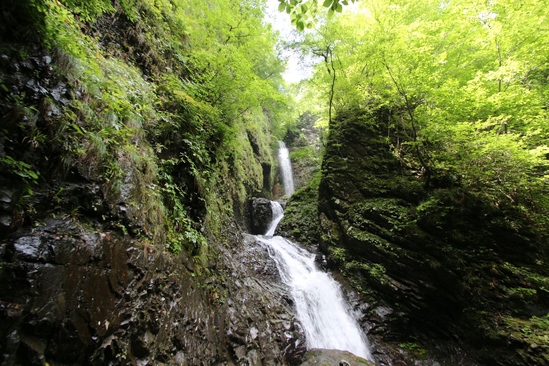竜化の滝 ハンターマウンテンゆりパーク散策 えいちゃんさんの高原山 釈迦ヶ岳 鶏頂山の活動データ Yamap ヤマップ