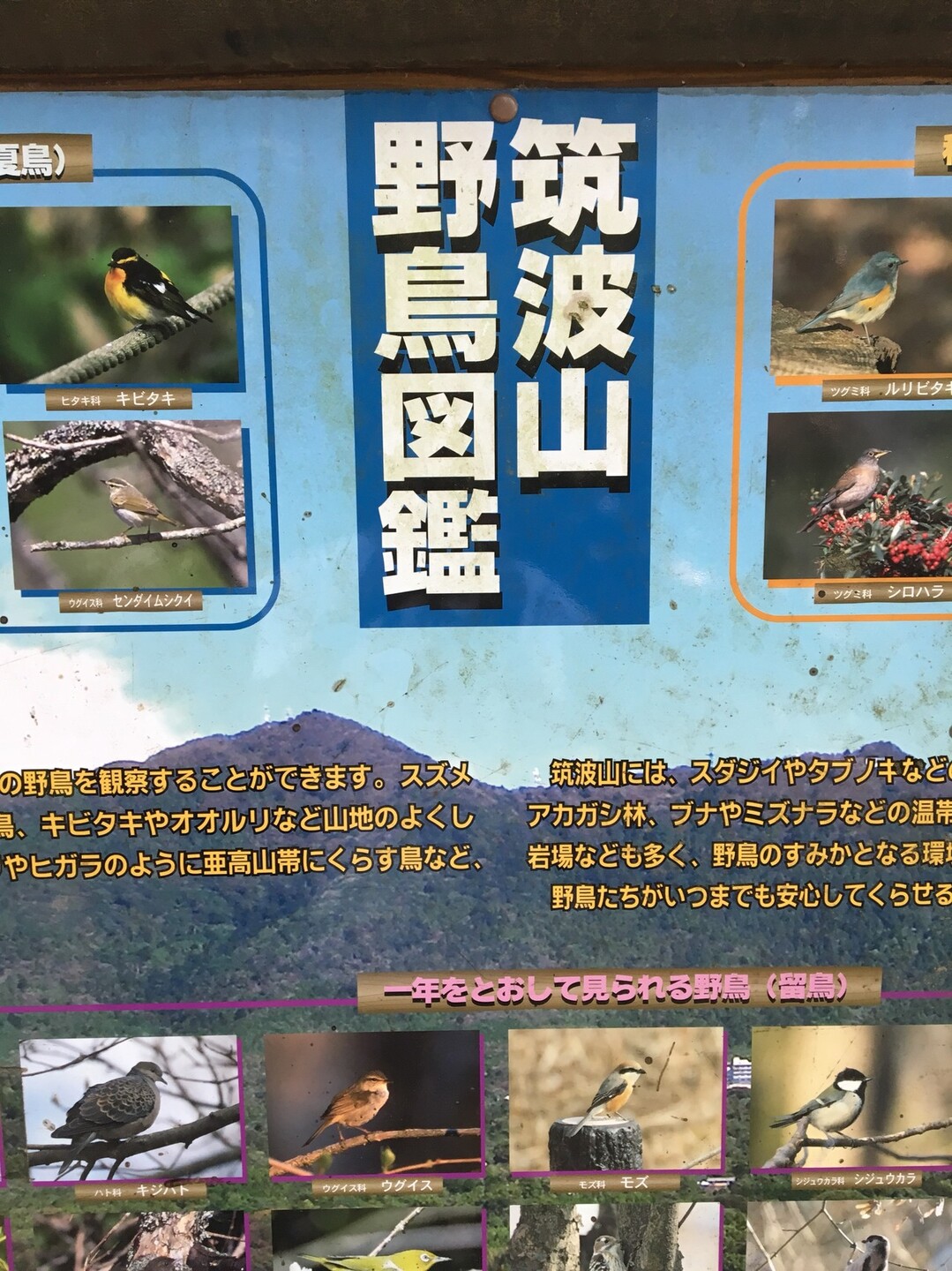 筑波山 再び てつやさんの筑波山の活動データ Yamap ヤマップ