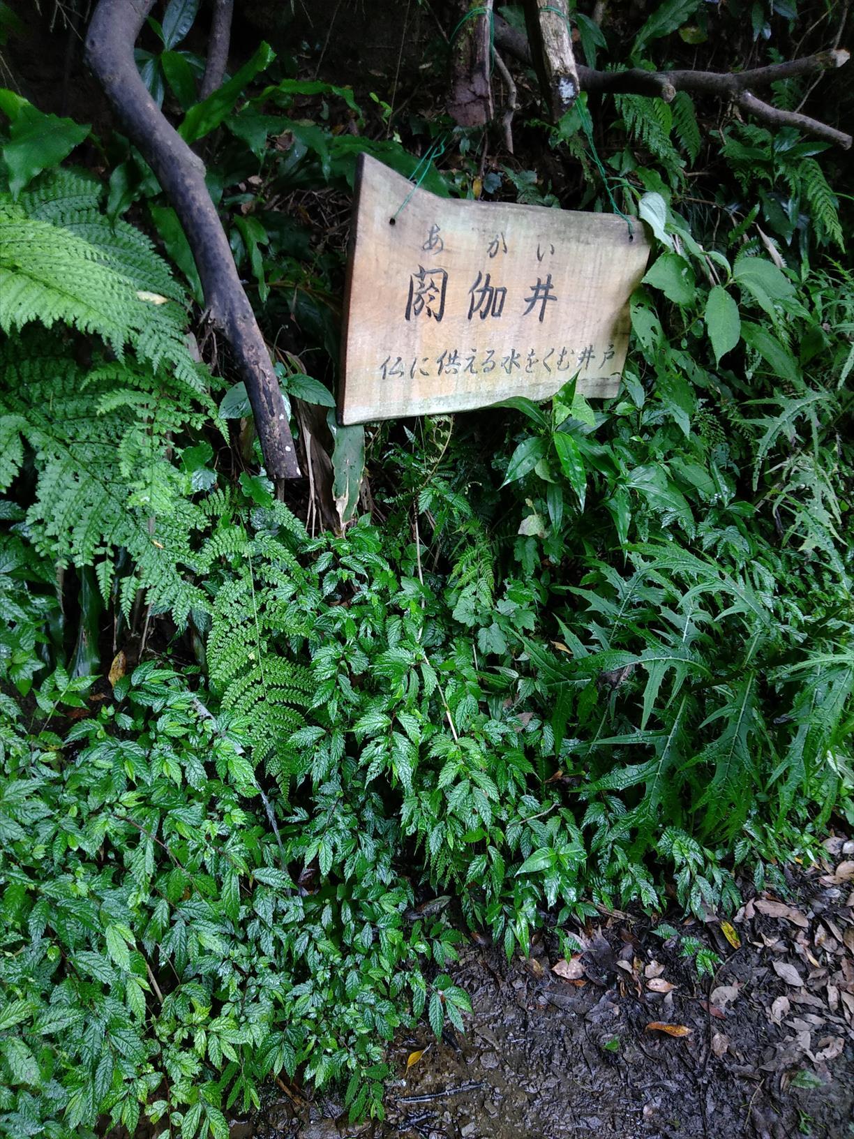 千葉の低名山 富山 とみさん と伊予ヶ岳を周回してきました 炎天下の一般道を歩くのはきついので おすすめしません うみすきさんの伊予ヶ岳 人骨山 津森山の活動日記 Yamap ヤマップ