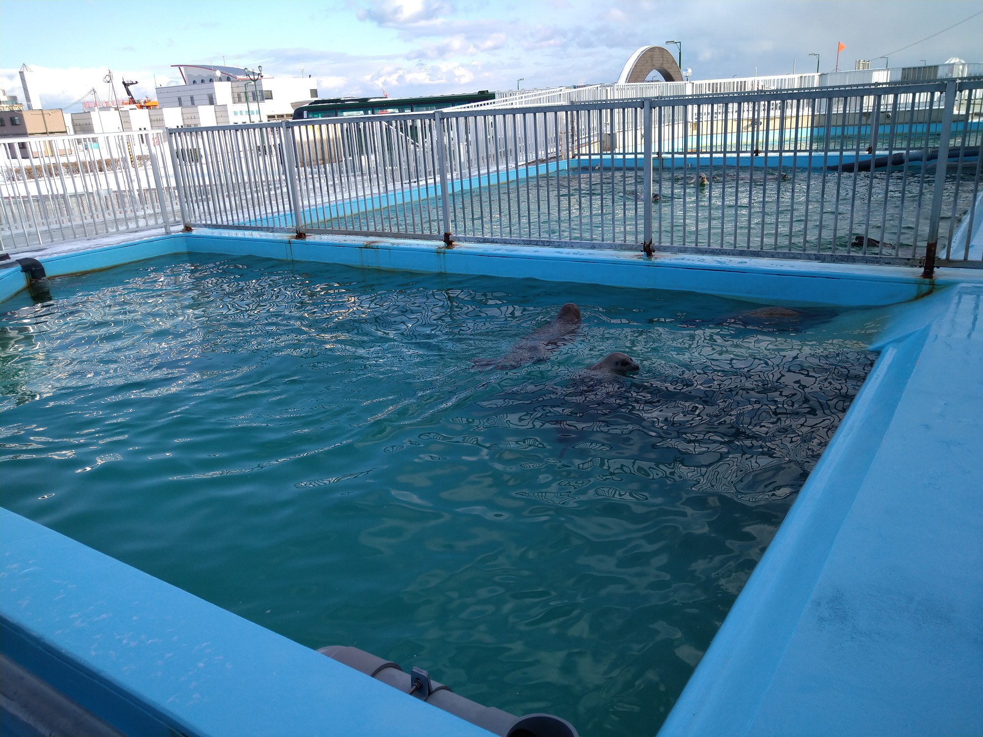 稚内市 12 03 Micioさんの稚内市の活動データ Yamap ヤマップ