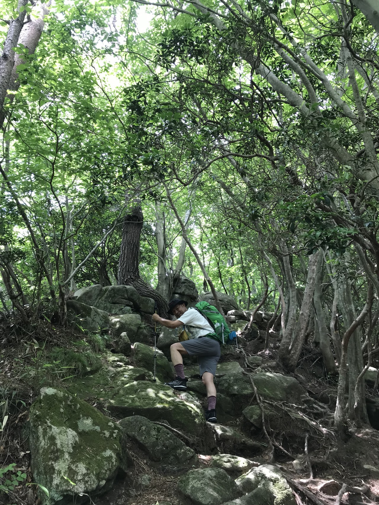 花貫渓谷からの土岳でランチ Yoshi さんの土岳 花貫渓谷 竪破山の活動データ Yamap ヤマップ