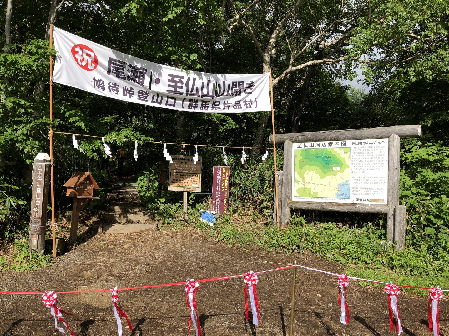 花がすごかった 至仏山 ホソバヒナウスユキソウ今年も出合えました トレッキングさんの至仏山 悪沢岳 笠ヶ岳の活動日記 Yamap ヤマップ