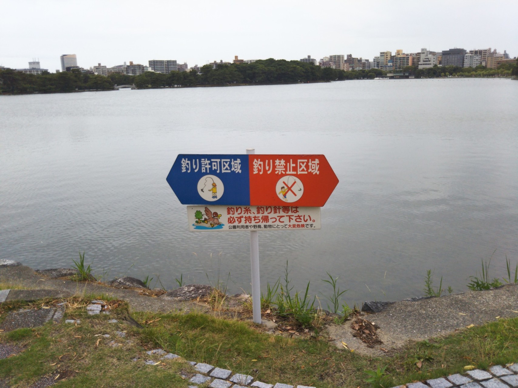 福岡ラブストーリー ポポクジラさんの 公式 福岡市 防災情報含む の活動日記 Yamap ヤマップ