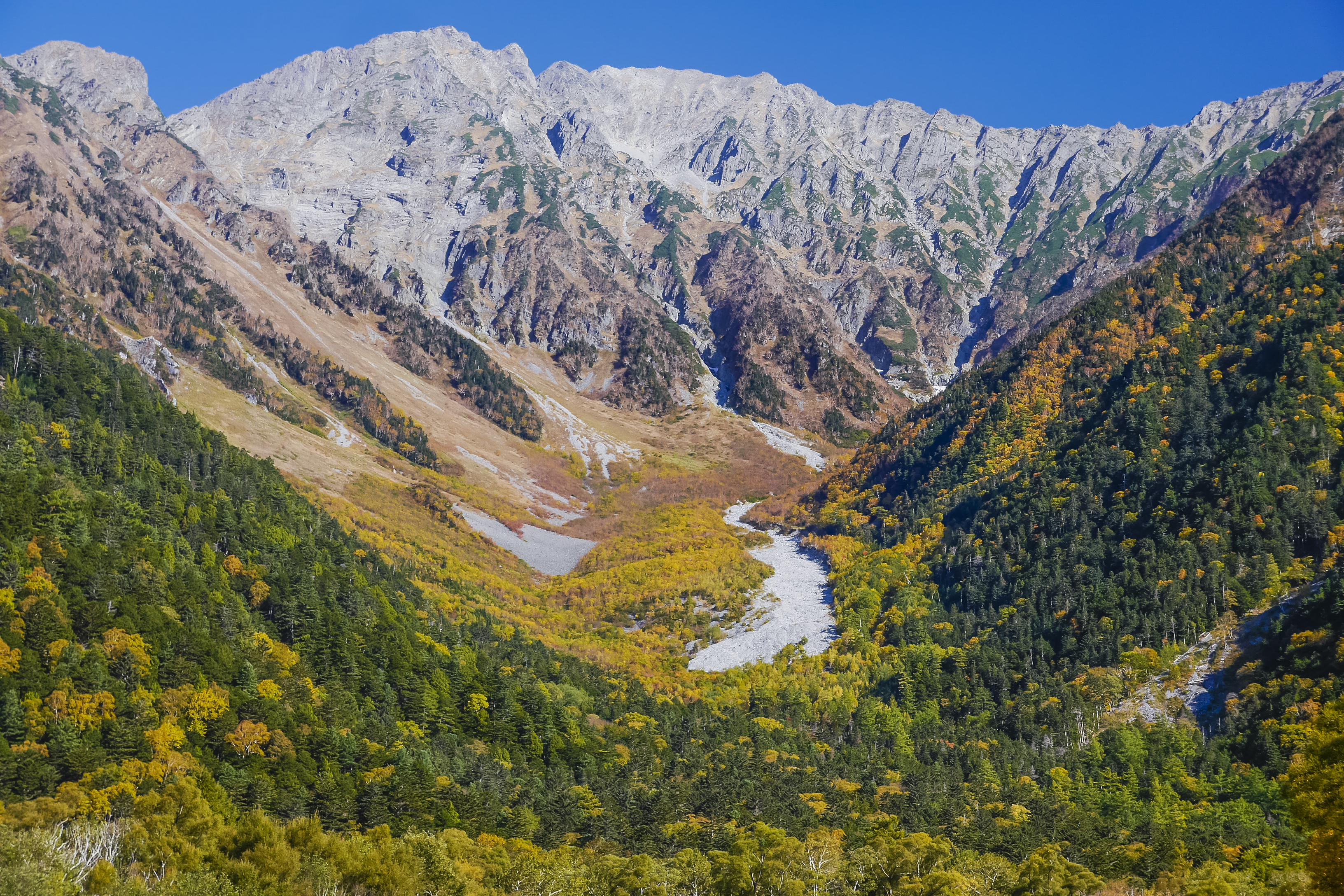 週間百名山・続日本百名山・最新版日本百名山・花の百名山