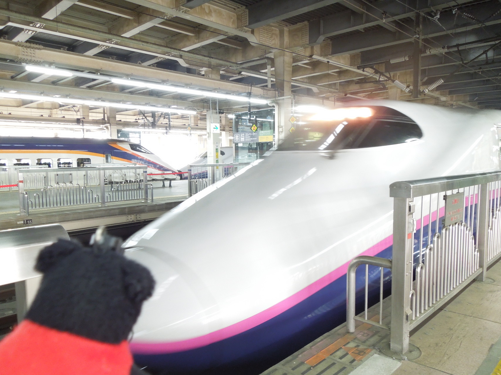 つばさでgo 蔵王 熊野岳 投げよう林檎を 雲の上 Andyさんの蔵王山 雁戸山 不忘山の活動日記 Yamap ヤマップ