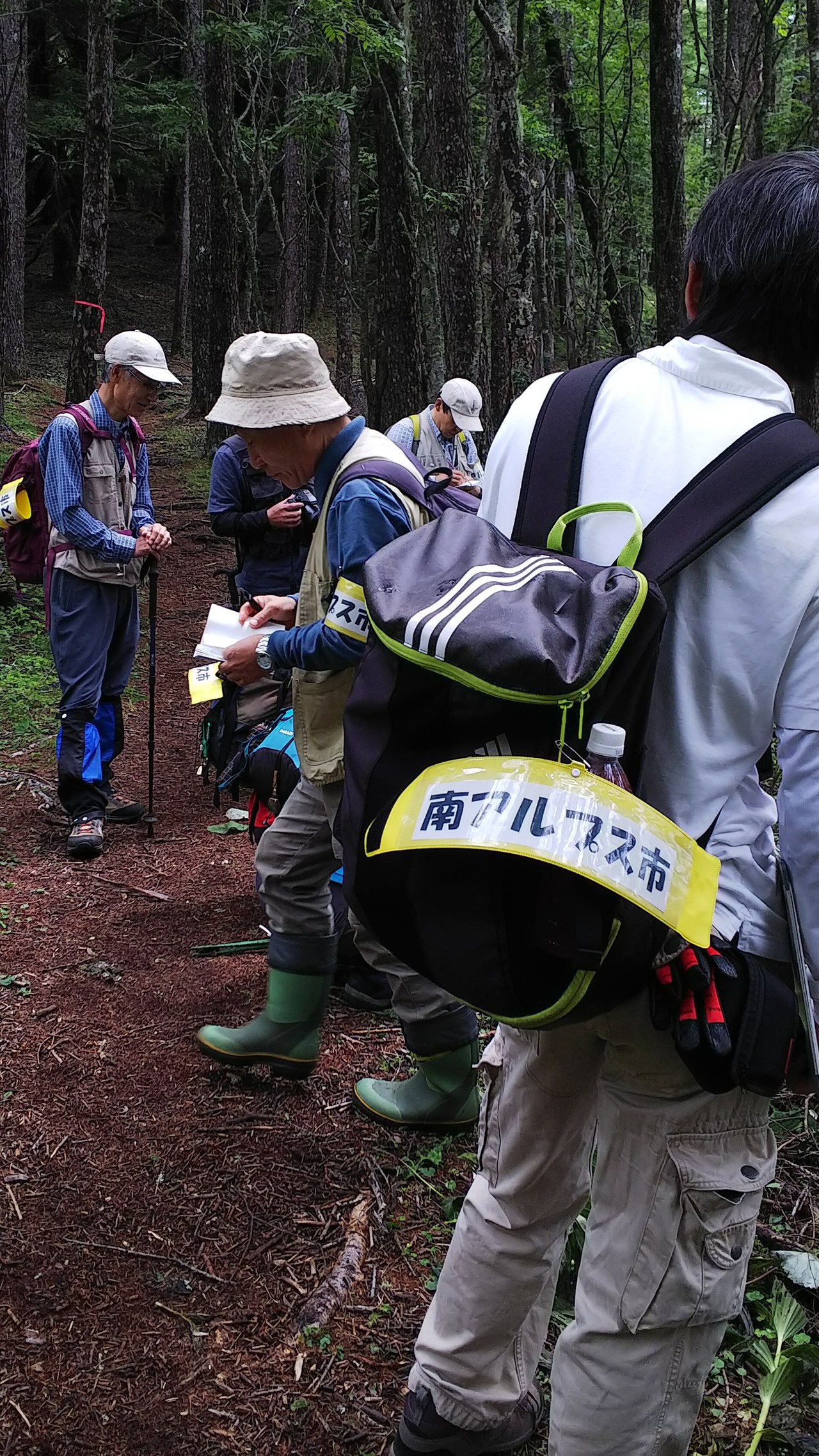 櫛形山 アヤメとお花観賞 さんたろうさんの櫛形山 山梨県 裸山 唐松岳の活動日記 Yamap ヤマップ