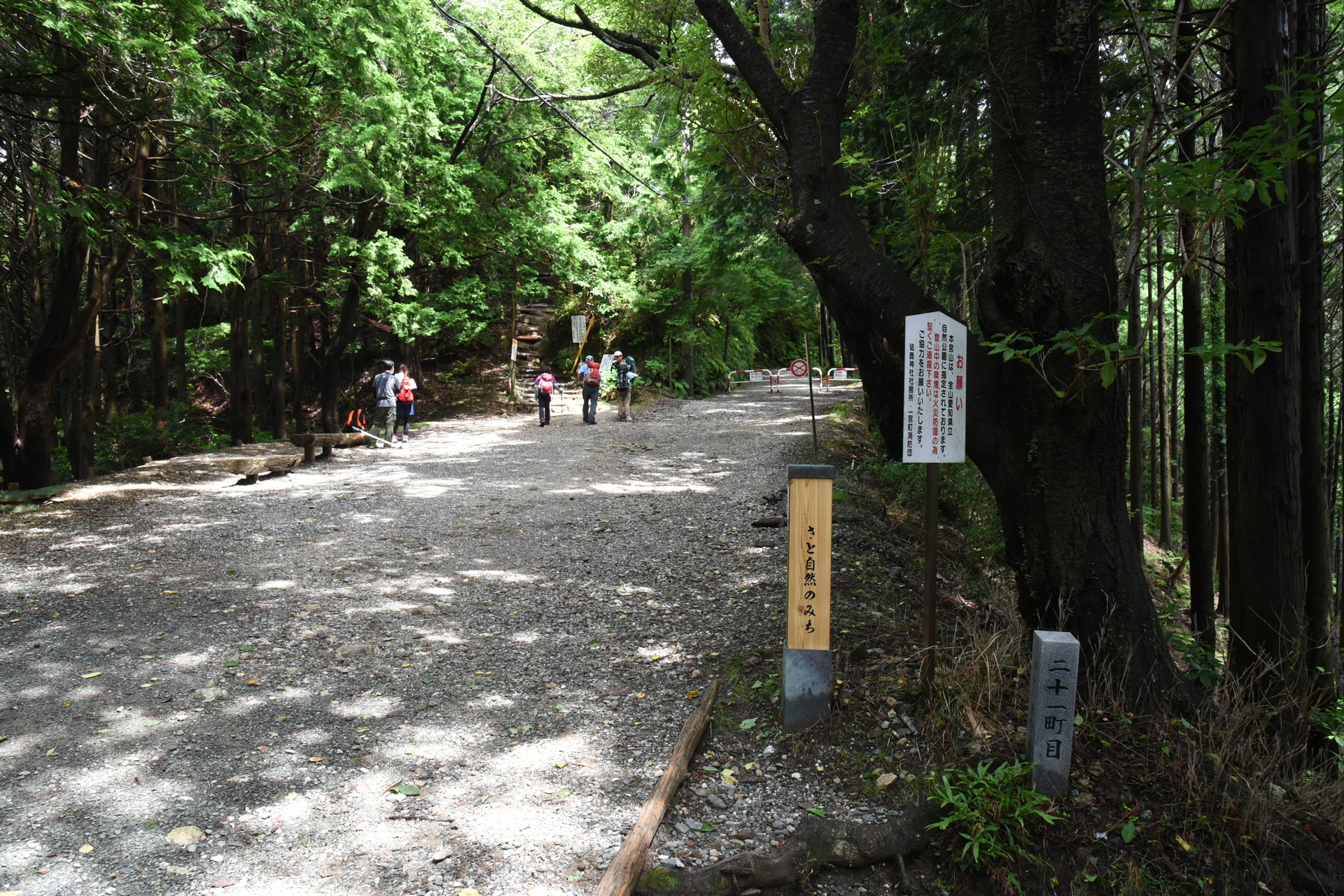本宮山・大日山・風頭山 林道との交差