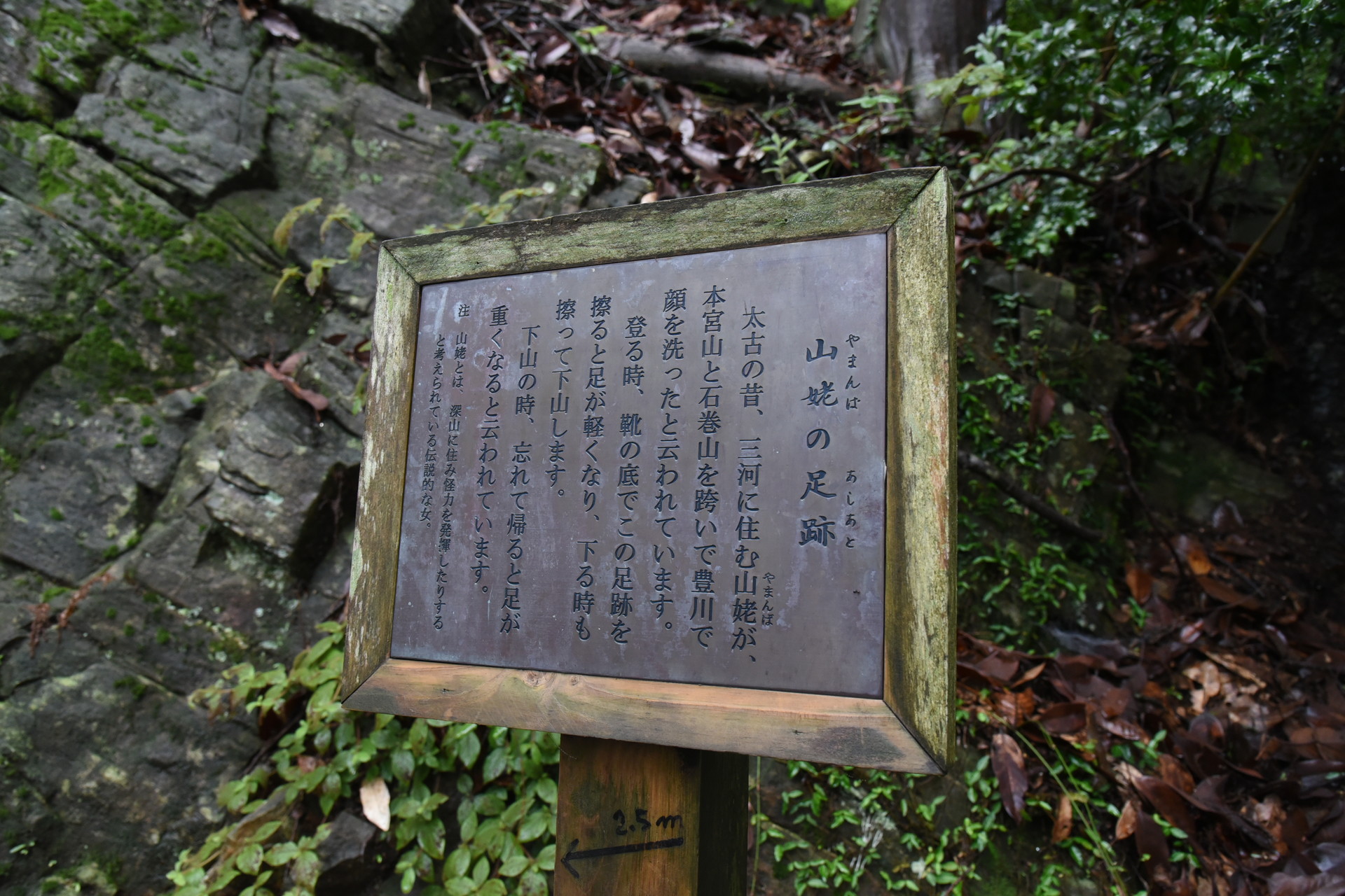 本宮山・大日山・風頭山 ふむふむ．．．