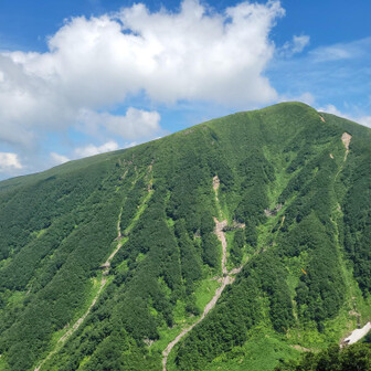 🅿そばの一般的な展望台の眺め