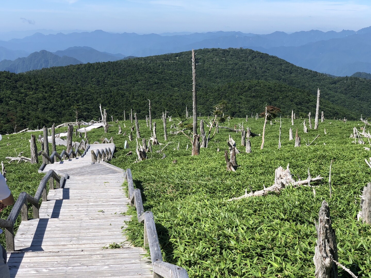 大台ヶ原 Tekuteku さんの大台ヶ原山 日出ヶ岳 大杉谷の活動日記 Yamap ヤマップ