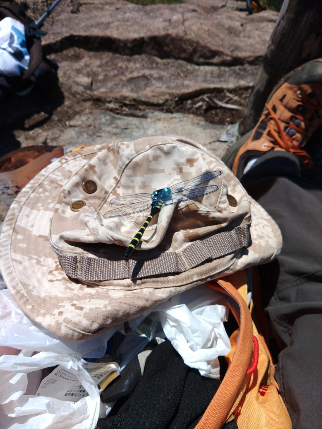 二ッ森山20230617 / ケンケンさんの二ッ森山の活動データ YAMAP / ヤマップ