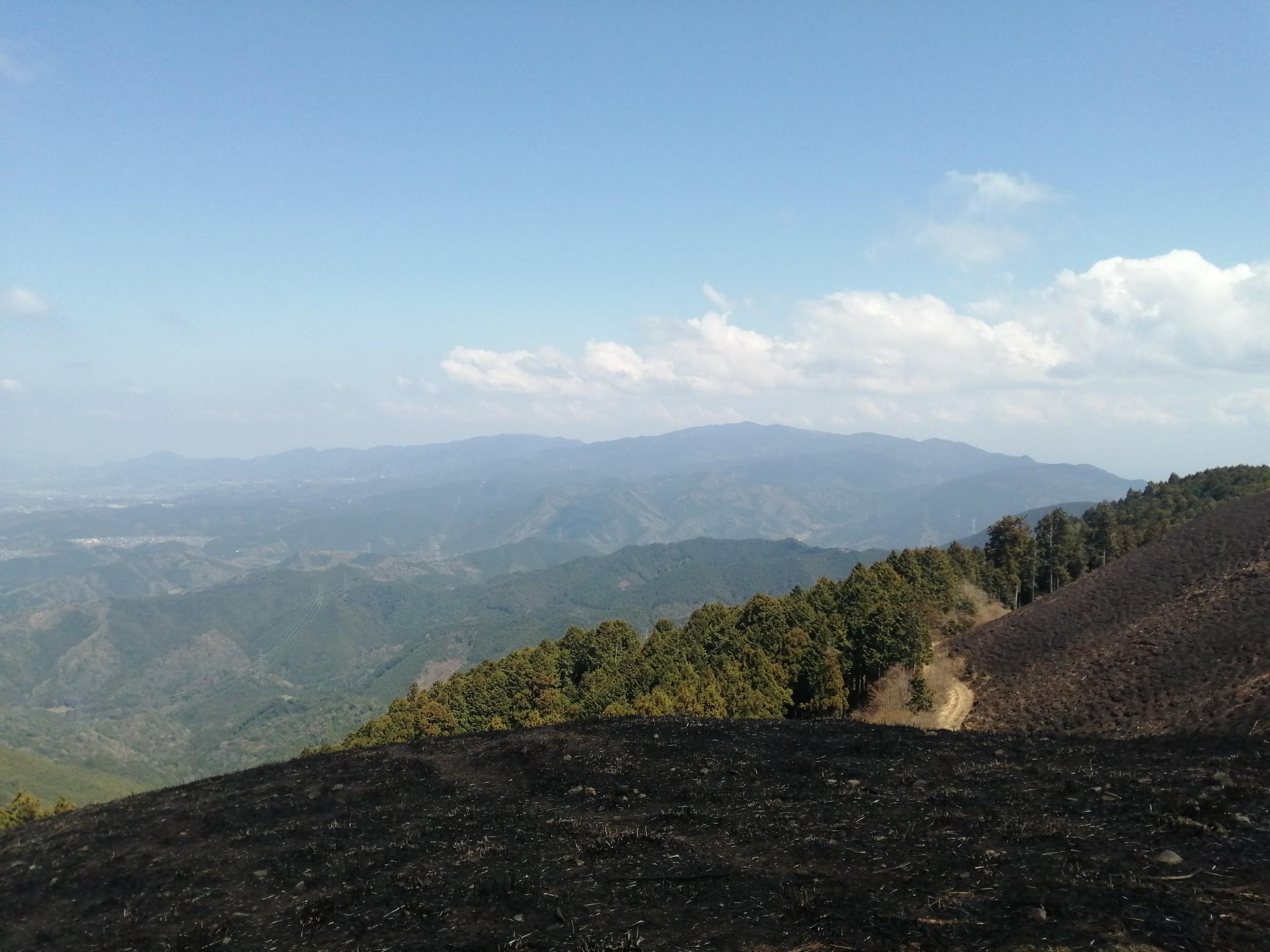 豪快、見事な呉須の色 今貴重！江戸後期推定大鉢径21cm 割れ、カケなし 豪快、見事な呉須の色 今貴重！江戸後期推定大鉢径21cm 割れ