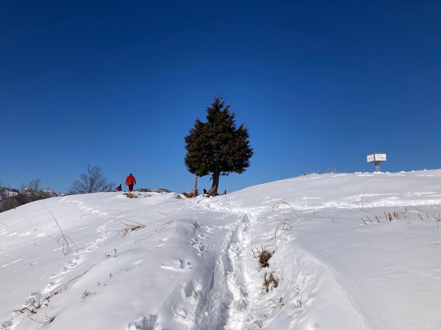 蕪山 / Smokybearさんの蕪山の活動データ YAMAP / ヤマップ