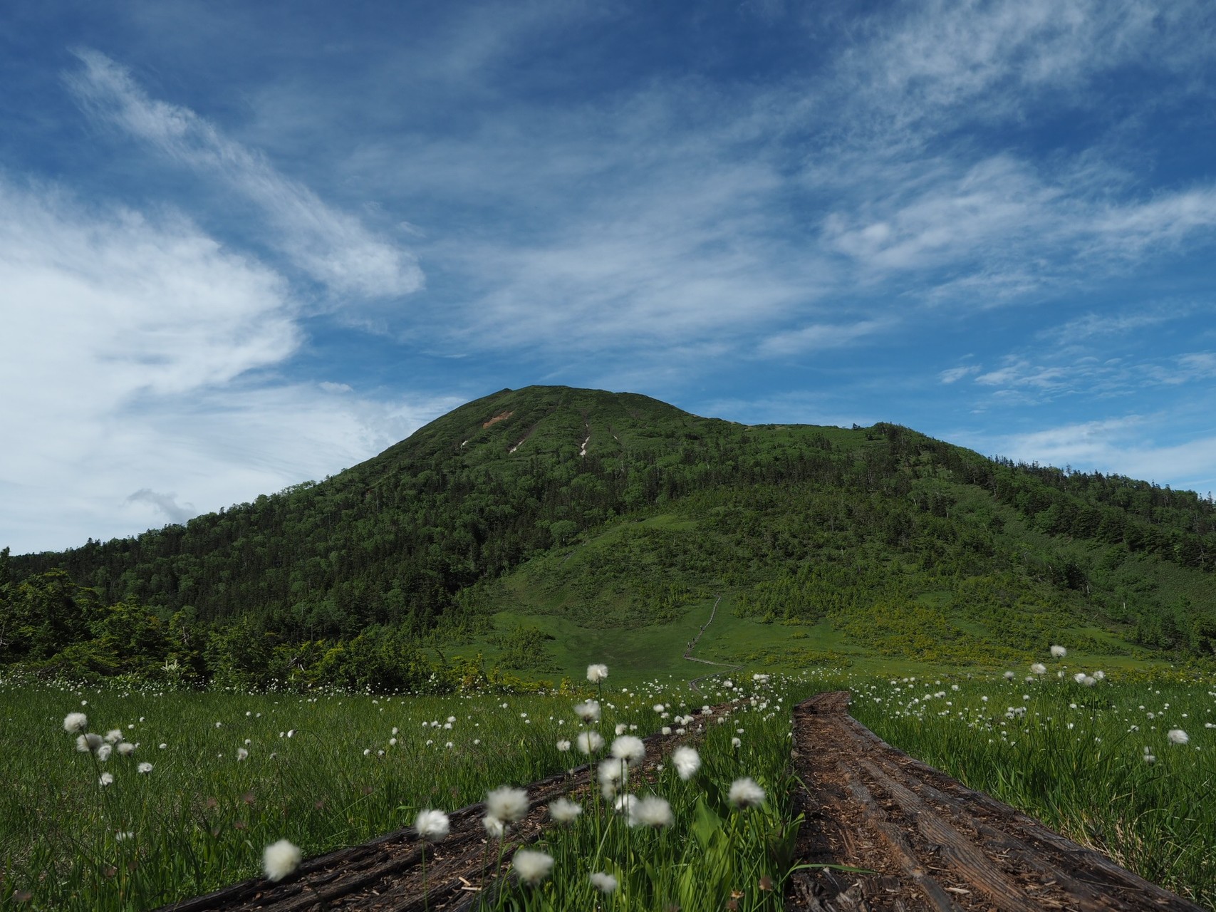18年6月30日 尾瀬夜行電車 一日目 Kimさんの尾瀬 燧ヶ岳の活動データ Yamap ヤマップ