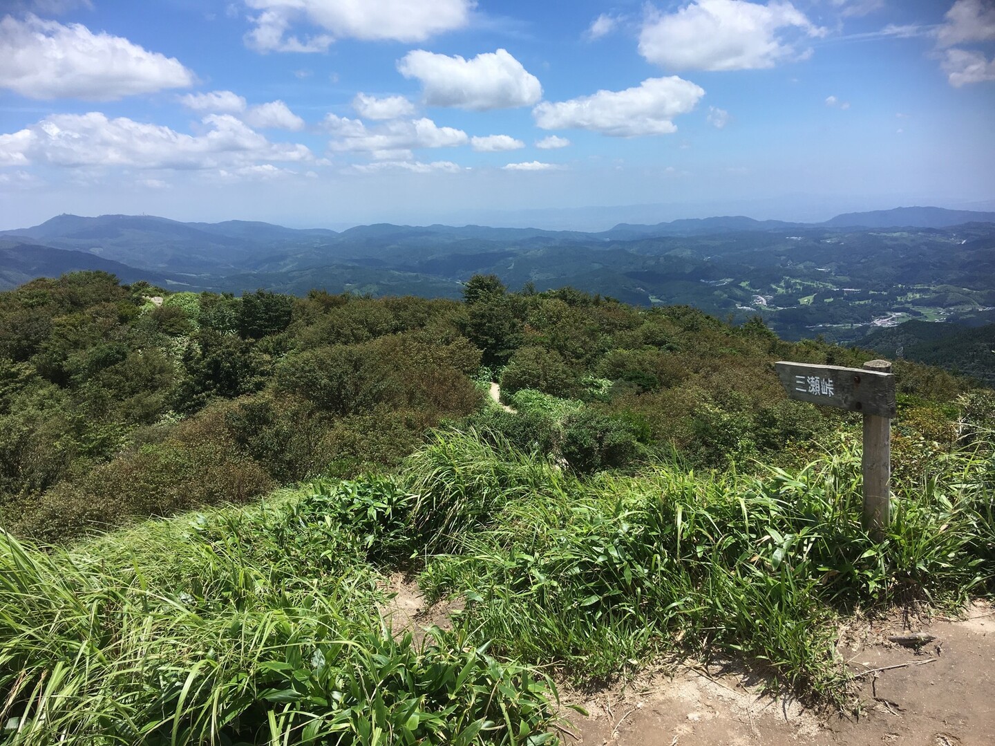 三瀬峠から井原山へ（ルート確認）