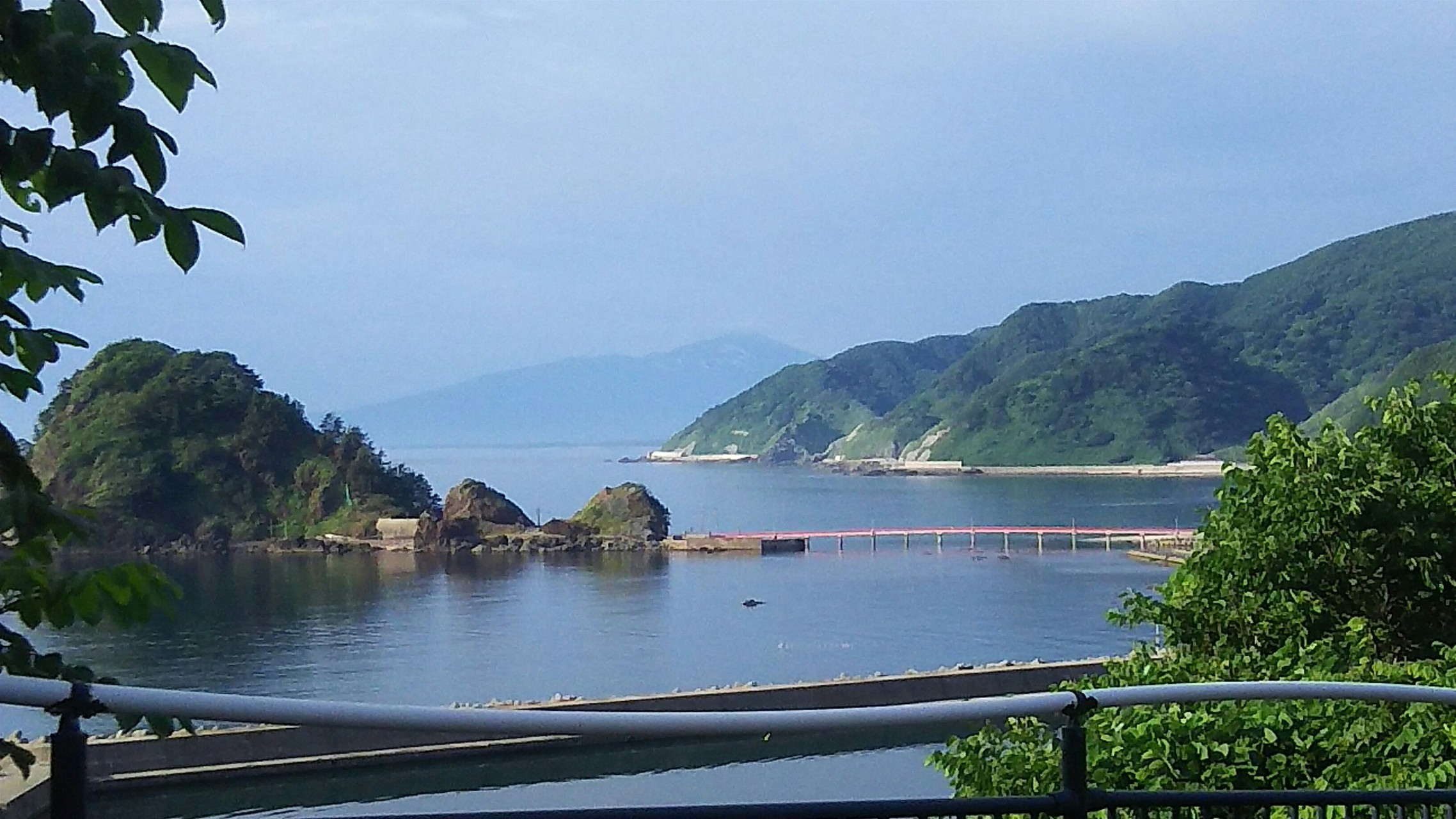 鳥海山 鉾立から御田ヶ原までのずぶ濡れ花散歩 マンディさんの鳥海山 Sea To Summit 19の活動データ Yamap ヤマップ