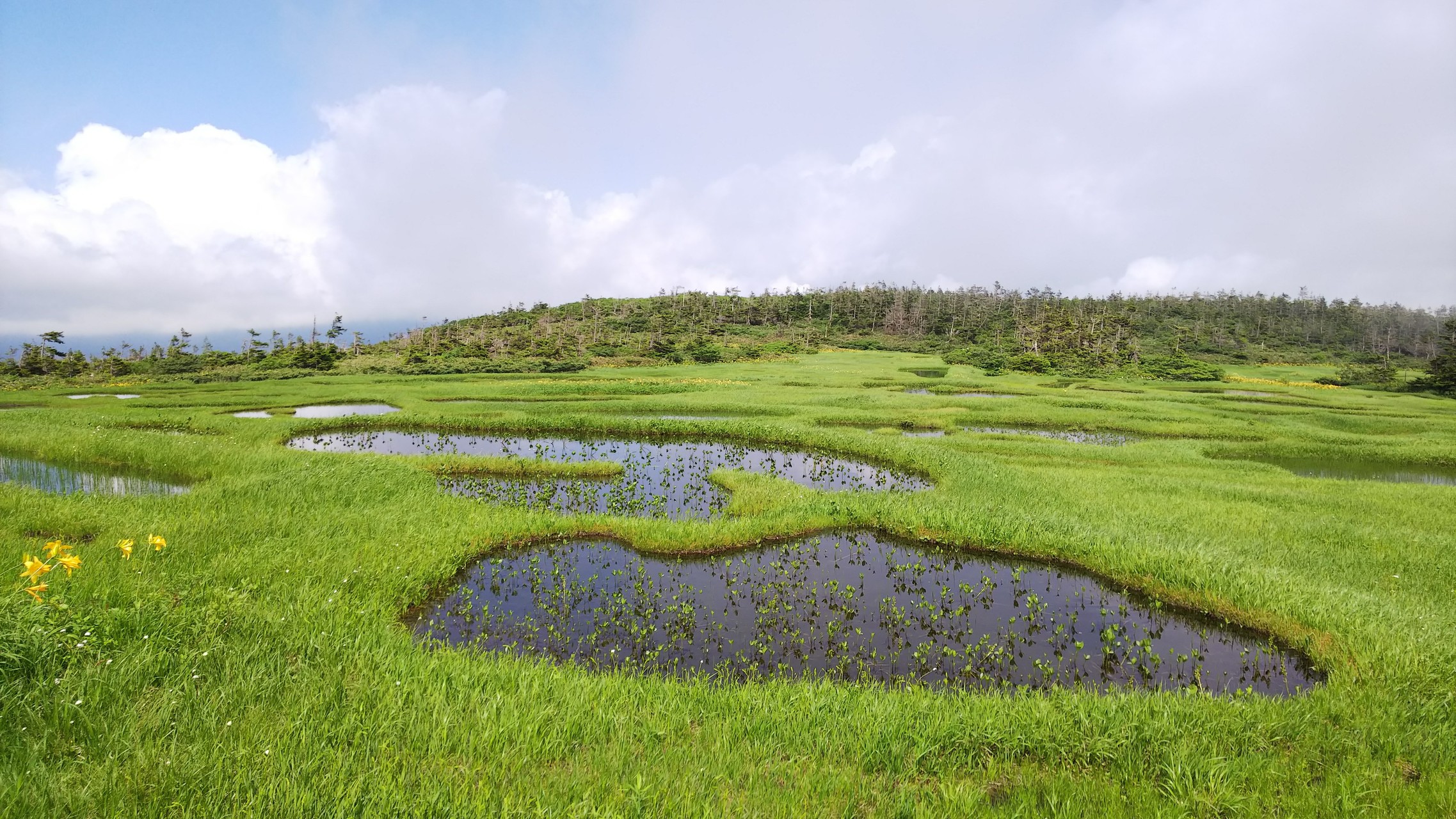 千沼ヶ原 乳頭山 行ってきたー あっちぃぃさんの乳頭山 湯森山 大白森の活動データ Yamap ヤマップ