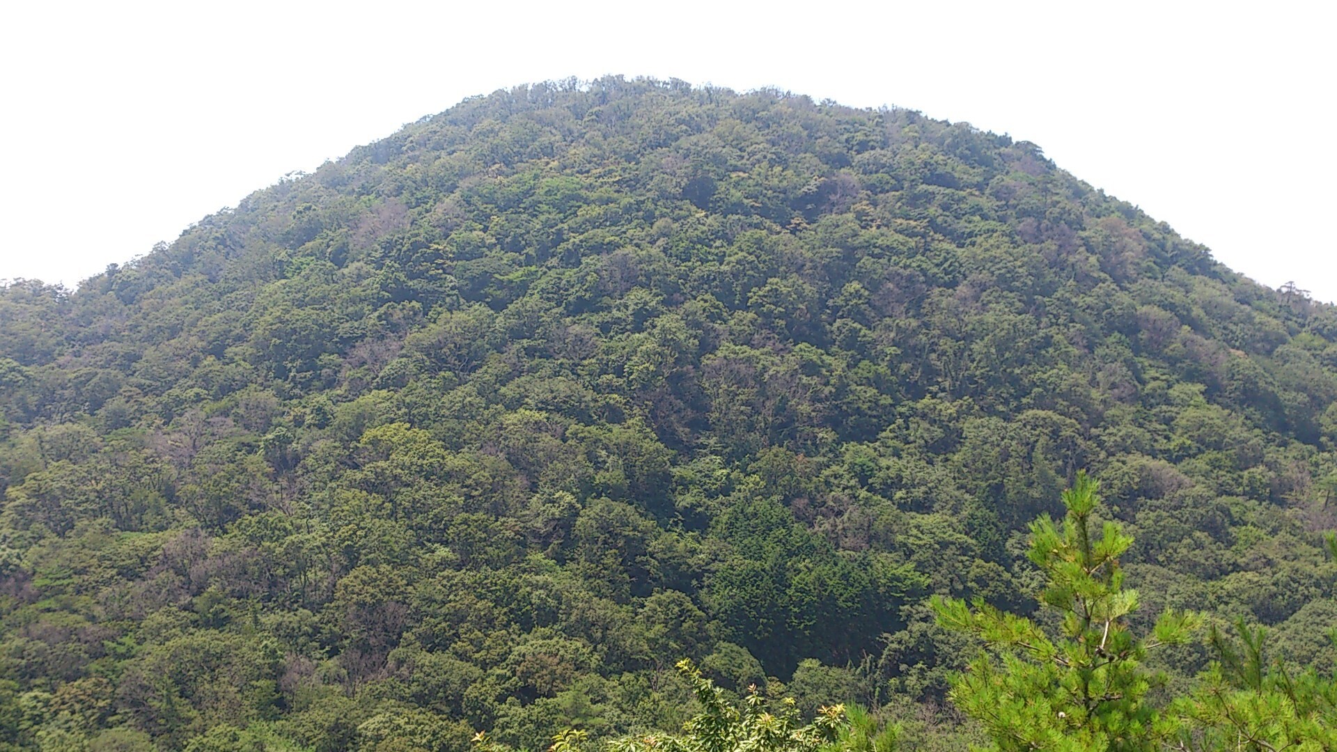 阪急仁川駅 仁川フィールドアスレチック跡 甲山森林公園 上ヶ原浄水場 阪急西宮北口駅 六甲山 長峰山 摩耶山の写真22枚目 Yamap ヤマップ