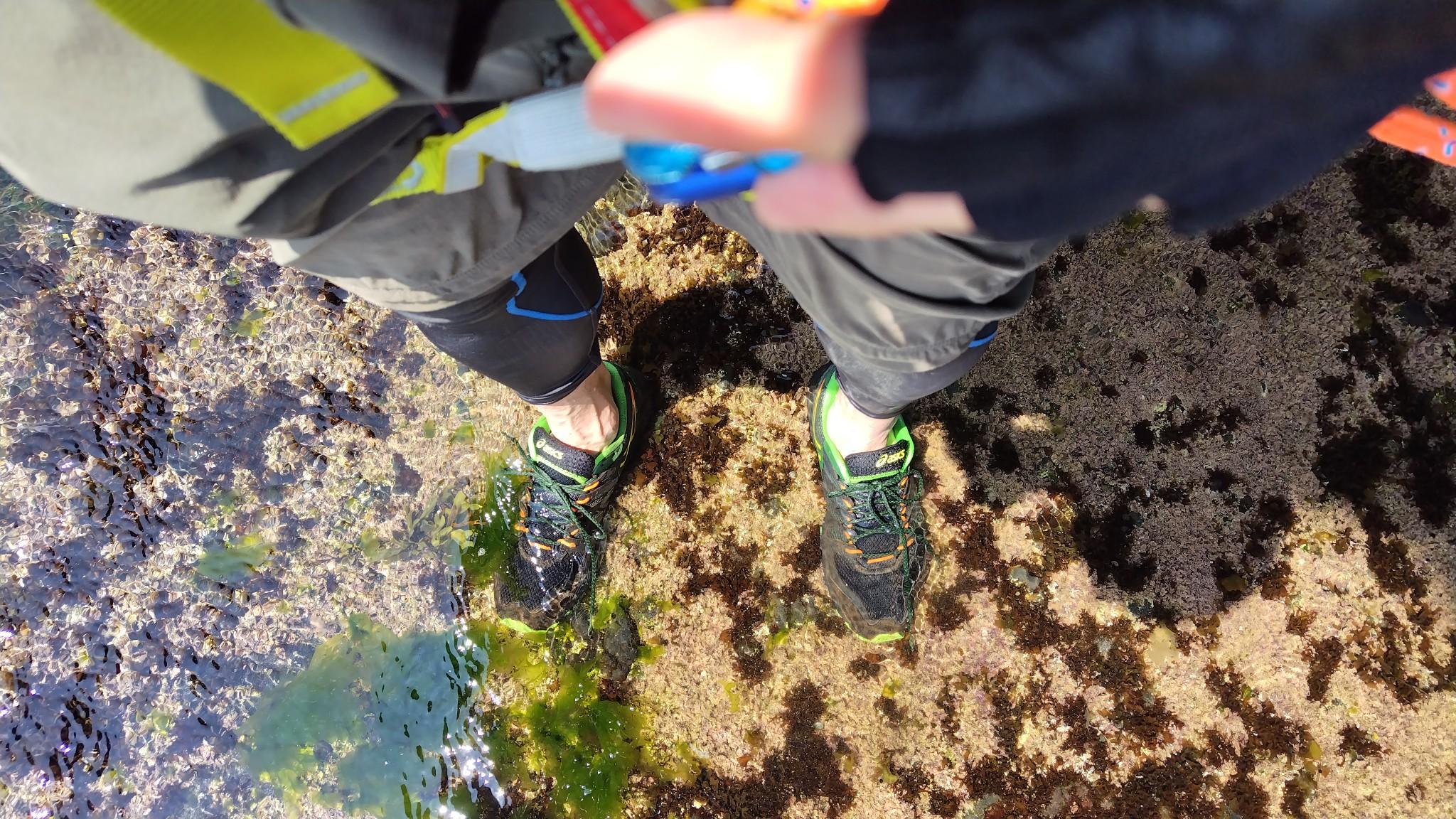 登山靴にも少し浸水してしまったので、ここはトレランシューズに履き替えて、ジャバジャバと進む（潮位50㎝）