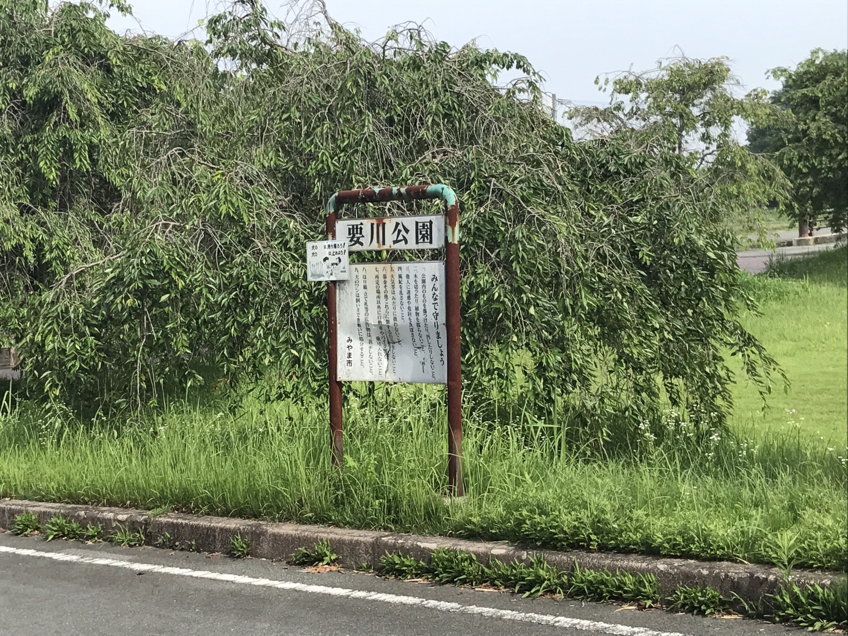 御牧山 昼から雨が降り出しそう タガワさんの御牧山の活動日記 Yamap ヤマップ