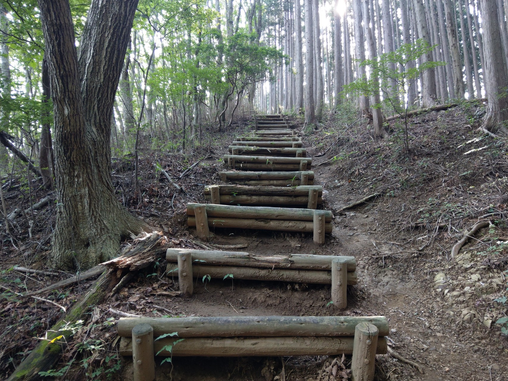 旧正丸峠 苅場坂峠 丸山 Takeoekuniさんの武甲山 伊豆ヶ岳 小持山の活動データ Yamap ヤマップ