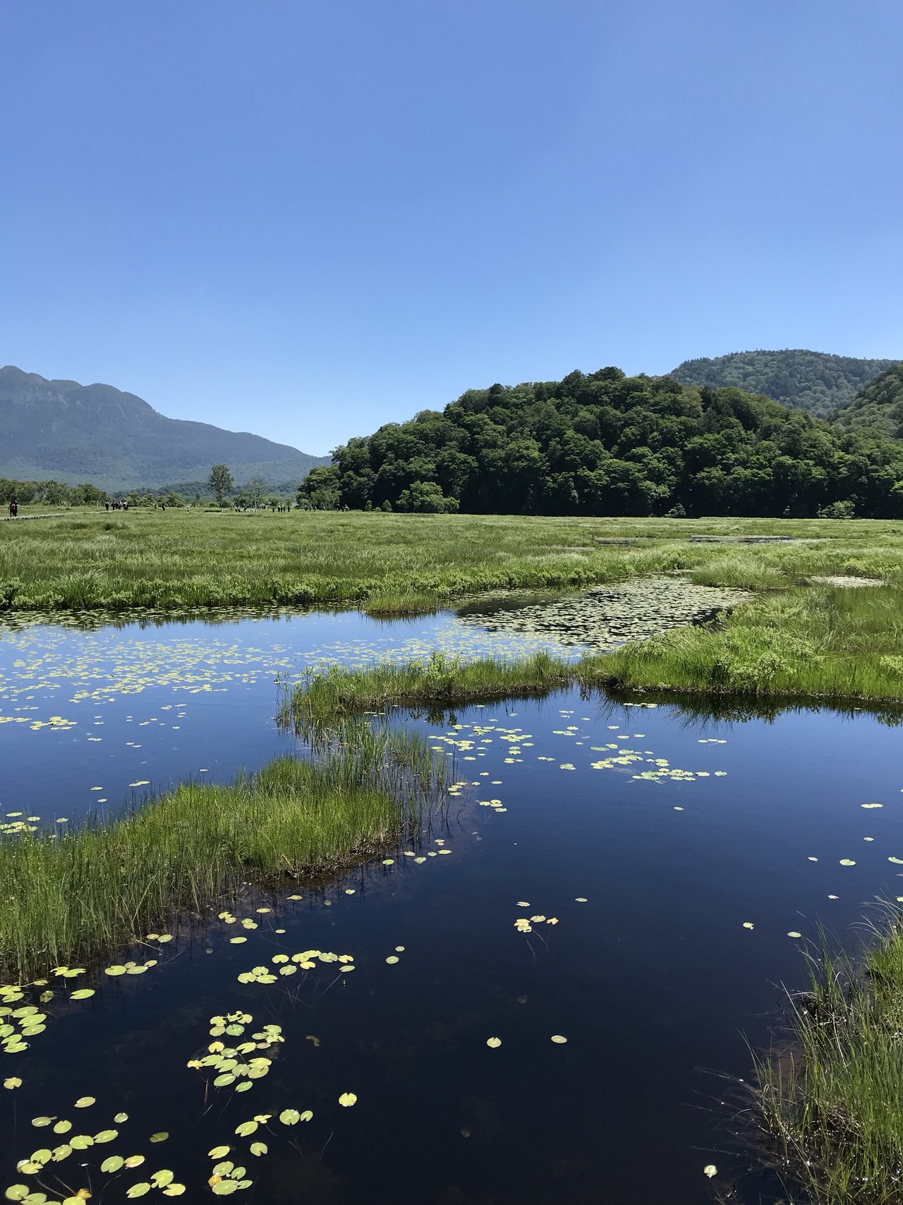尾瀬ヶ原 鳩待峠 竜宮小屋 ヨッピ橋 鳩待峠 なおさんの至仏山 悪沢岳 笠ヶ岳の活動データ Yamap ヤマップ