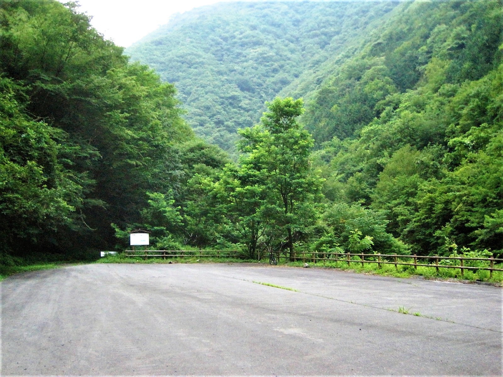 光岳 易老渡から日帰り往復 小岩南太郎さんの聖岳 大沢岳 光岳の活動日記 Yamap ヤマップ