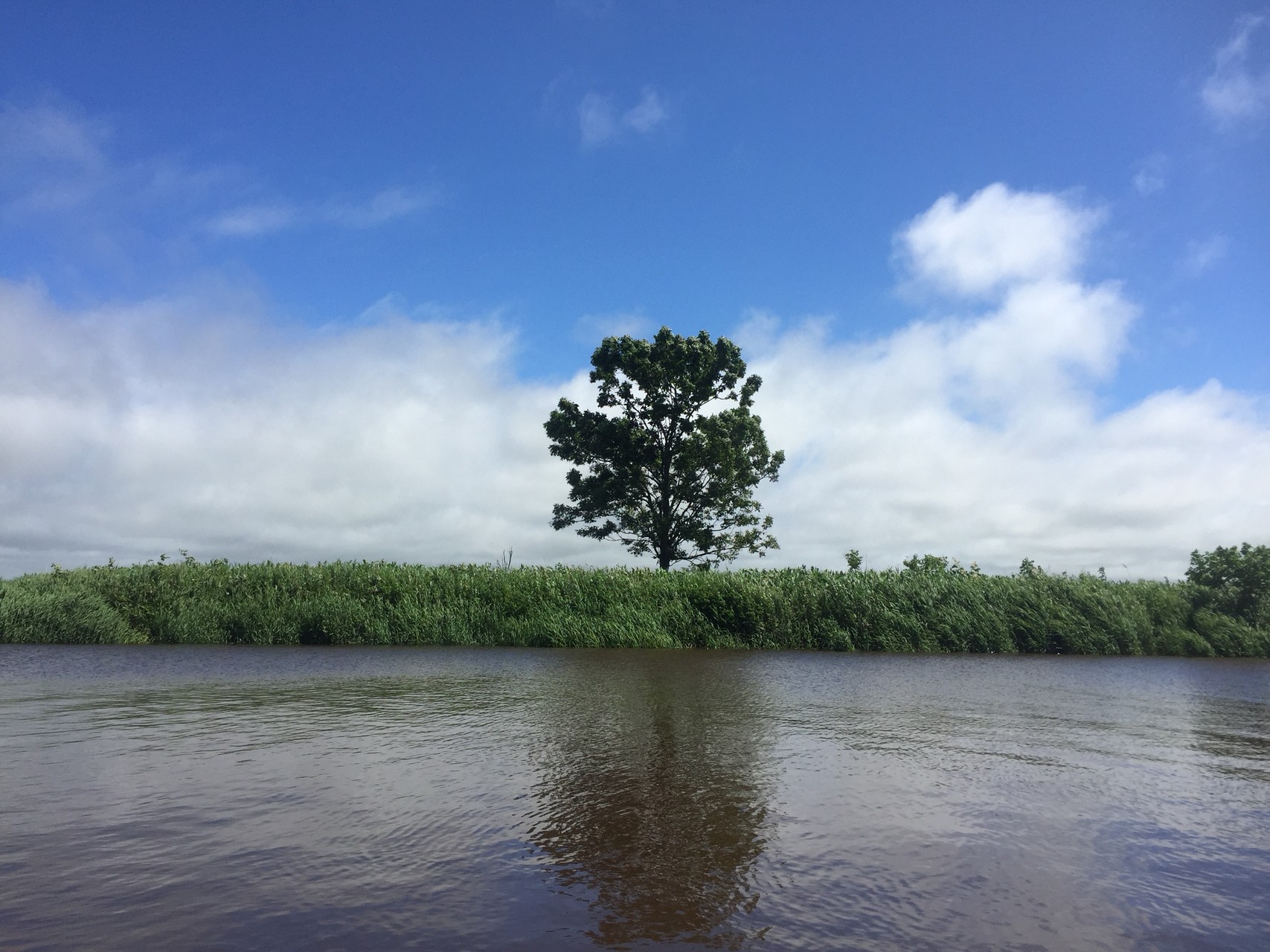 サロベツ川 アップ ダウンリバー Tez さんのサロベツ湿原の活動データ Yamap ヤマップ
