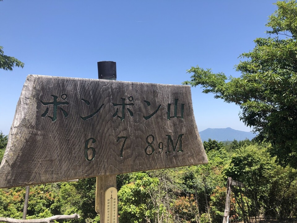 ポンポン山の最新登山情報 人気の登山ルート 写真 天気など Yamap ヤマップ