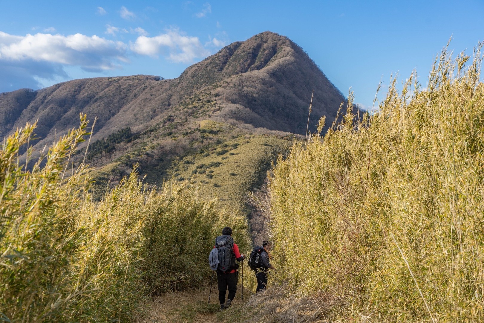 箱根外輪山の山一覧 Yamap ヤマップ