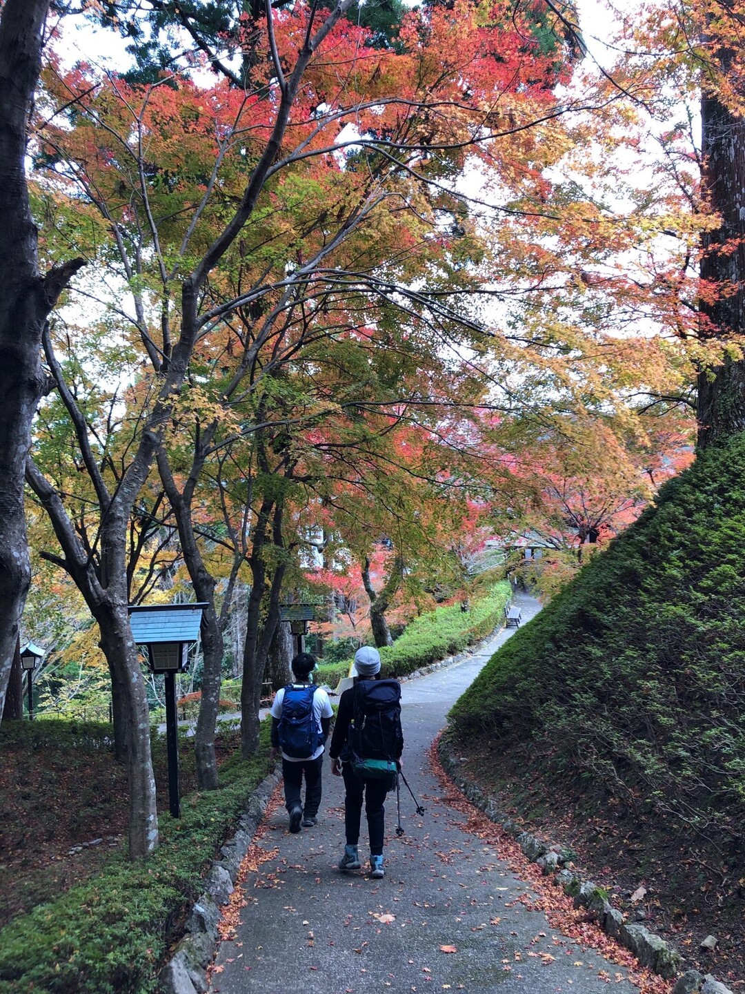 太竜岳・太竜寺山 / ヒロ9さんの太竜寺山の活動データ YAMAP / ヤマップ