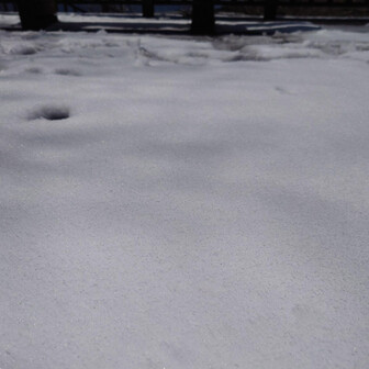 金剛山・二上山・大和葛城山 溶け始めてサクサクの雪❄