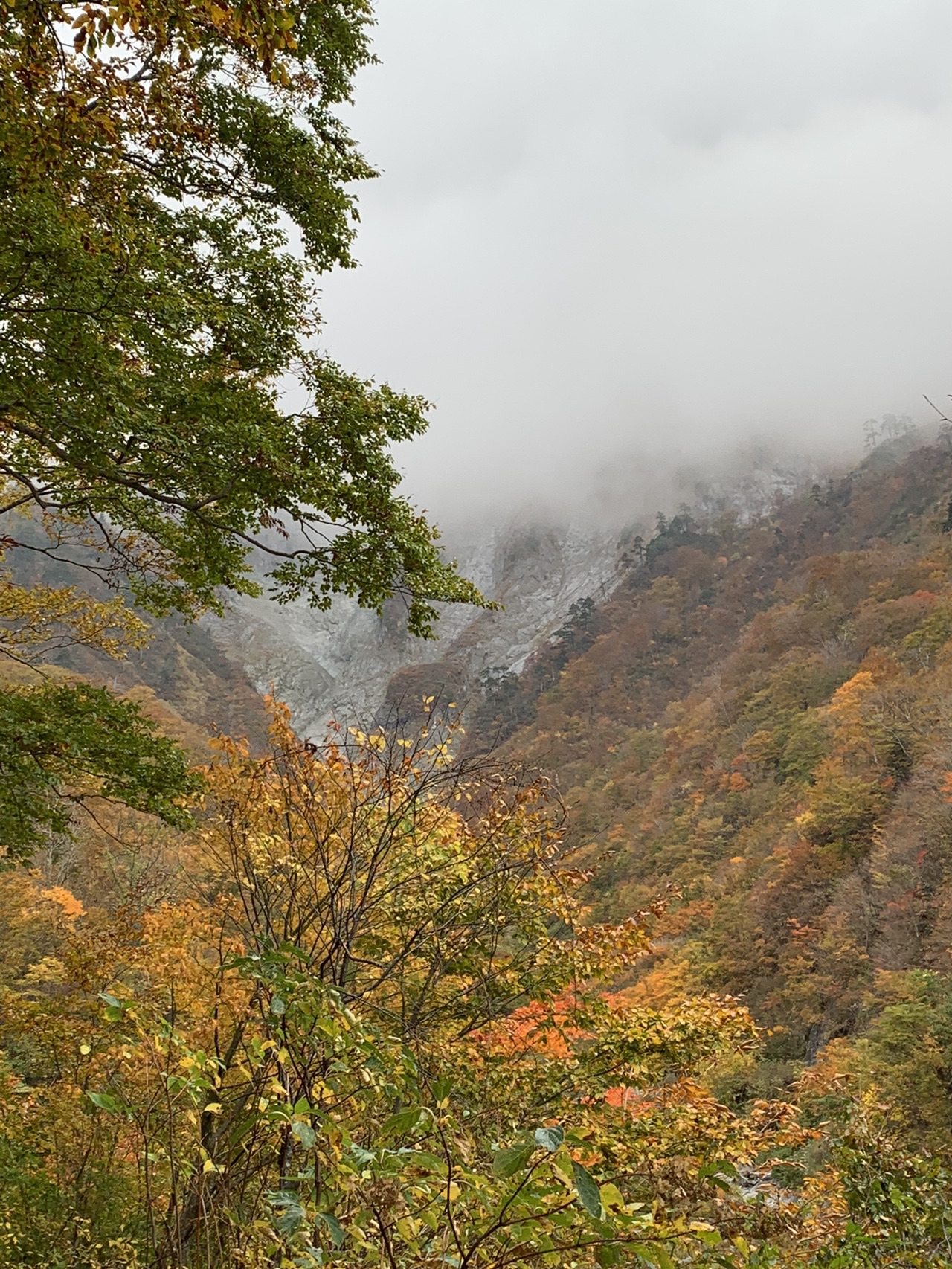 紅葉 求めて Tuesdayexpeditionteam 谷川岳天神平スキー場 一ノ倉沢 19 10 29 Stephen11さんの谷川岳 天神平スキー場の活動データ Yamap ヤマップ