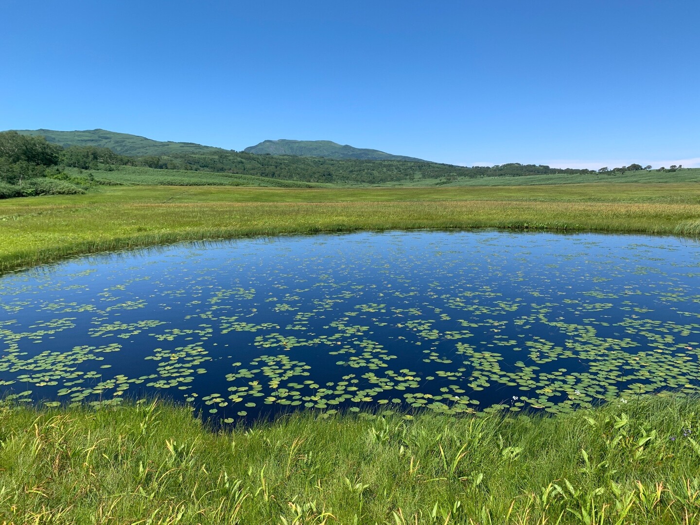 雨竜沼湿原、南暑寒岳、最高の山の日😊 / ZAKUさんの暑寒別岳の活動データ | YAMAP / ヤマップ