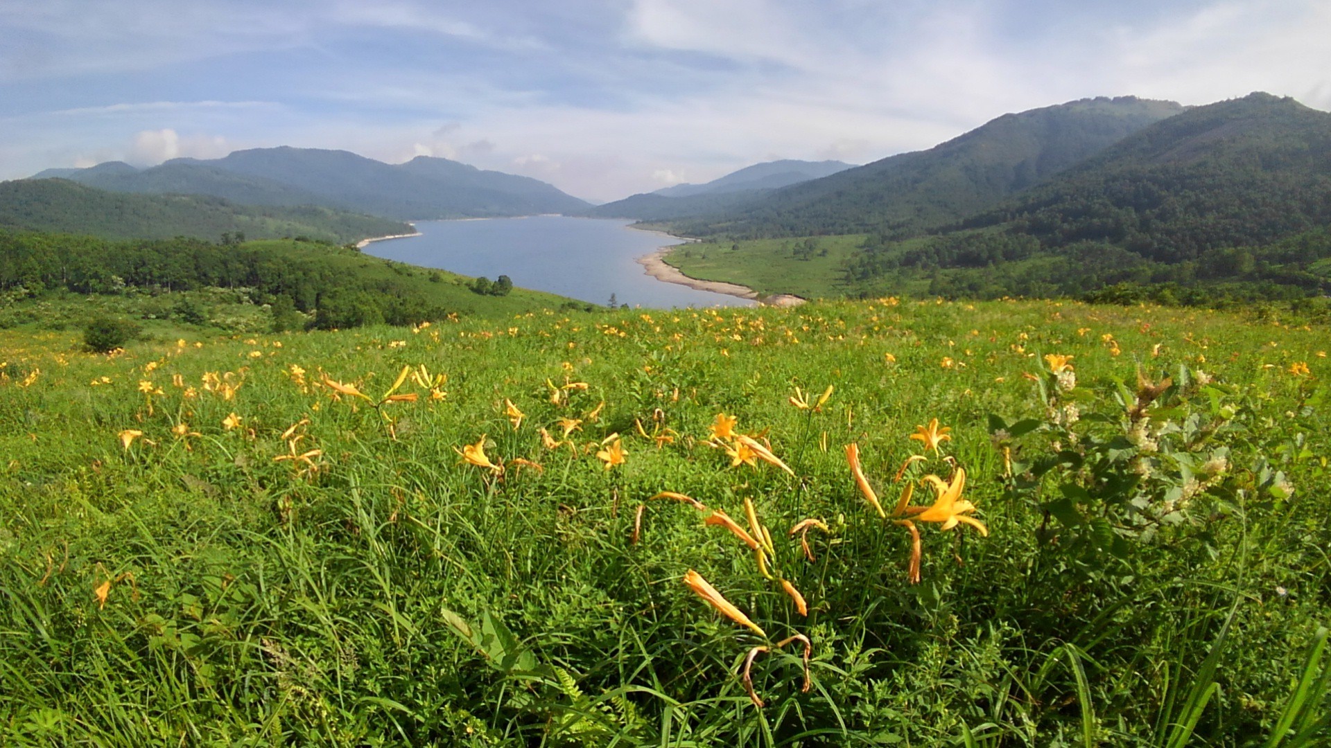 八間山 野反湖のキスゲも終盤 ふにゃさんの高沢山 エビ山 大高山の活動日記 Yamap ヤマップ