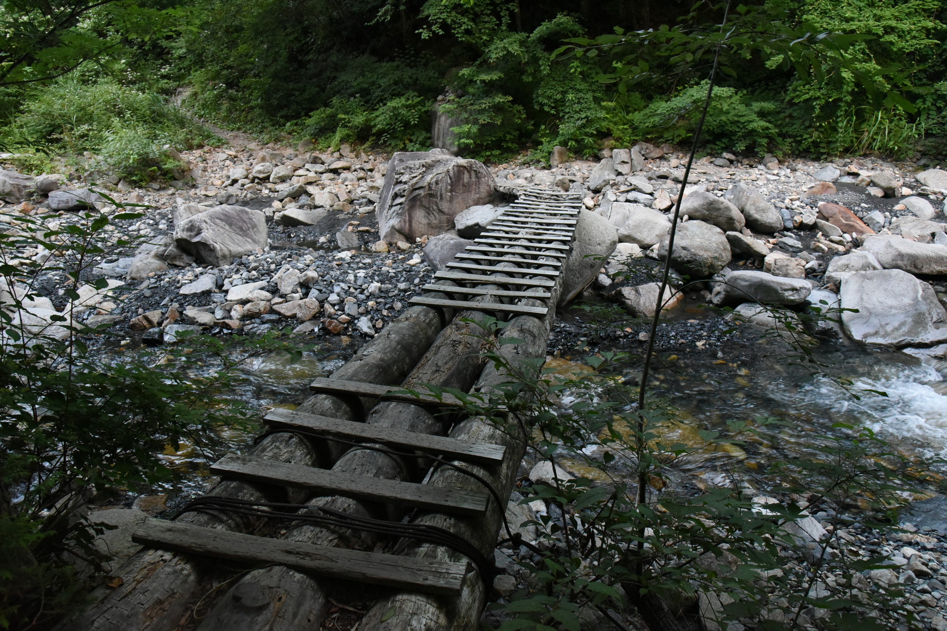 恵那山・大判山・神坂山 丸太橋を渡ります。