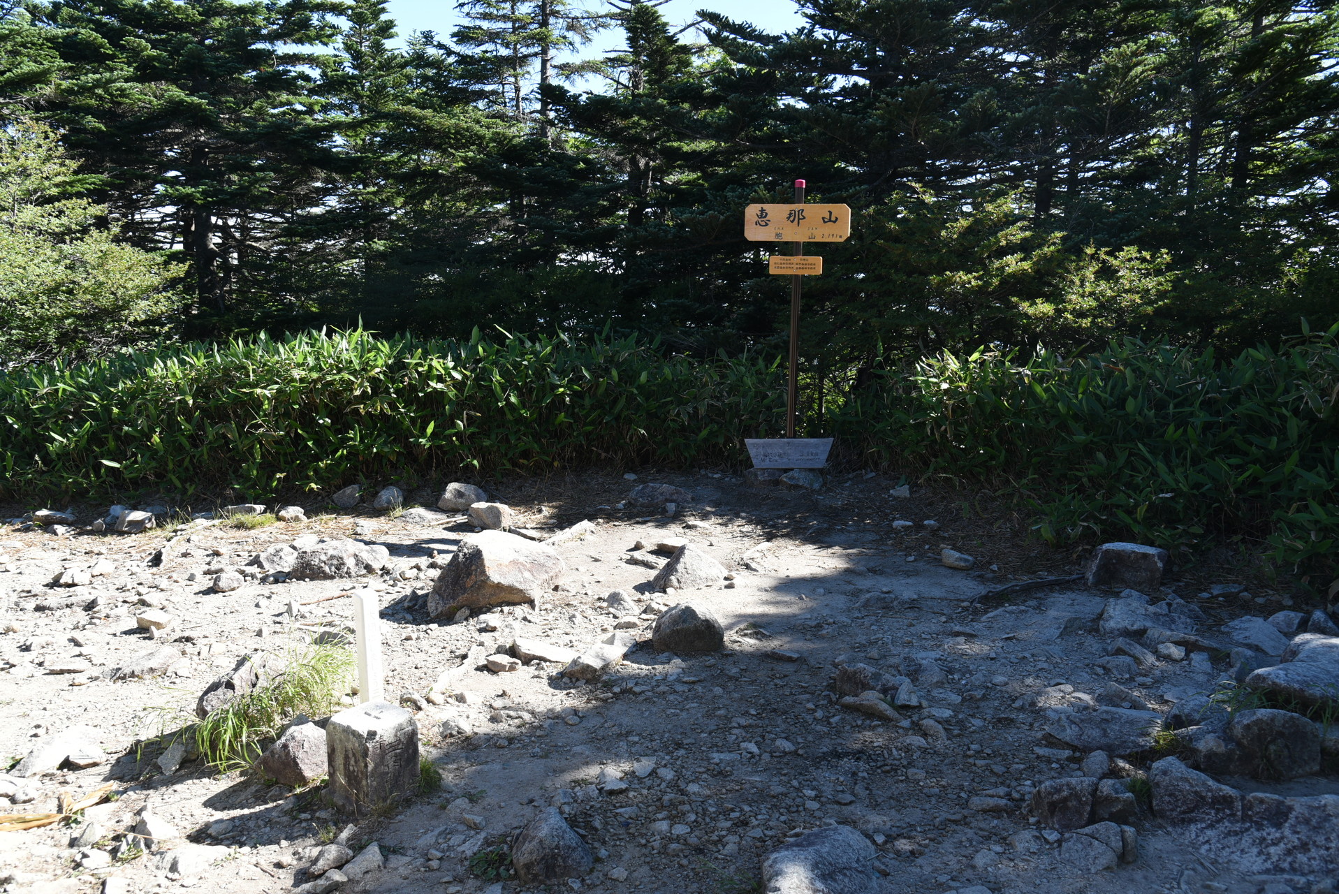 恵那山・大判山・神坂山 山頂からの展望は、展望台に登ってもありません。