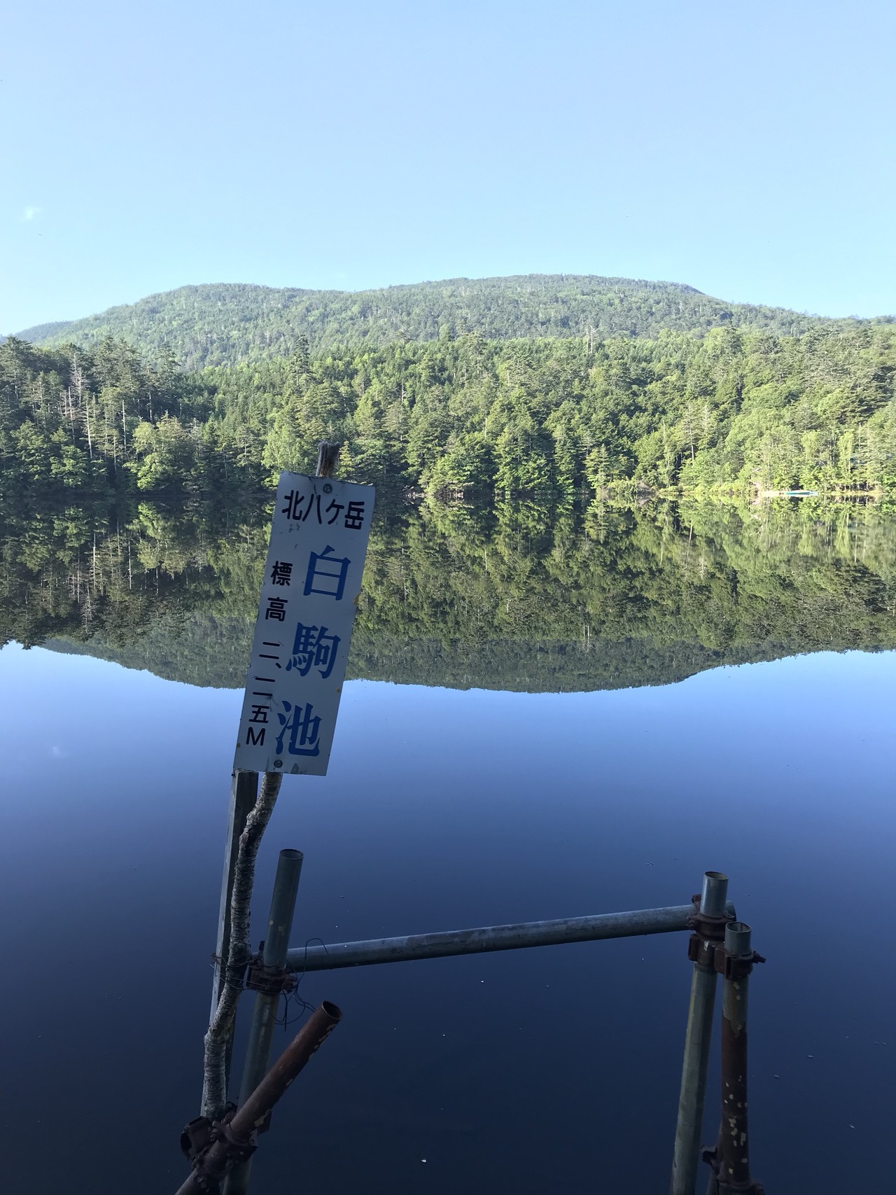 テント泊ソロ山行 白駒の池キャンプ場から天狗岳へ なっちゃんさんの八ヶ岳 赤岳 硫黄岳 天狗岳 の活動データ Yamap ヤマップ