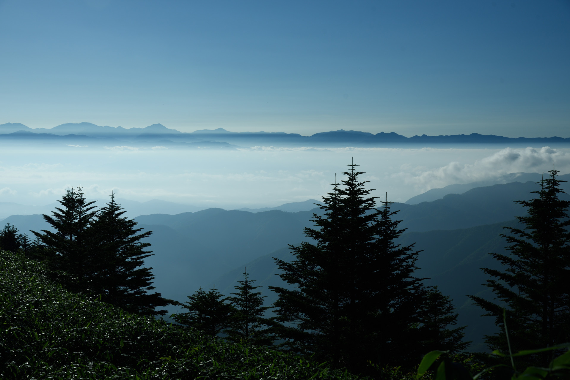 恵那山・大判山・神坂山 聖岳から右に上河内岳、へこんだのち裾野の大きい上のチョコンとしたのが光岳、その右の光岳の裾野と同じぐらいの高さの二つが池口岳北峰・南峰、その右の小さな二峰のさらに右のほとんど直線の小さなギザギザが大無間山です。