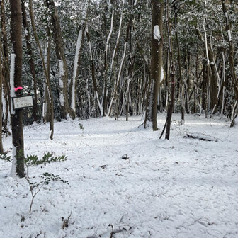 御伊勢山・雨乞山・相原山 愛宕山(初登頂)
