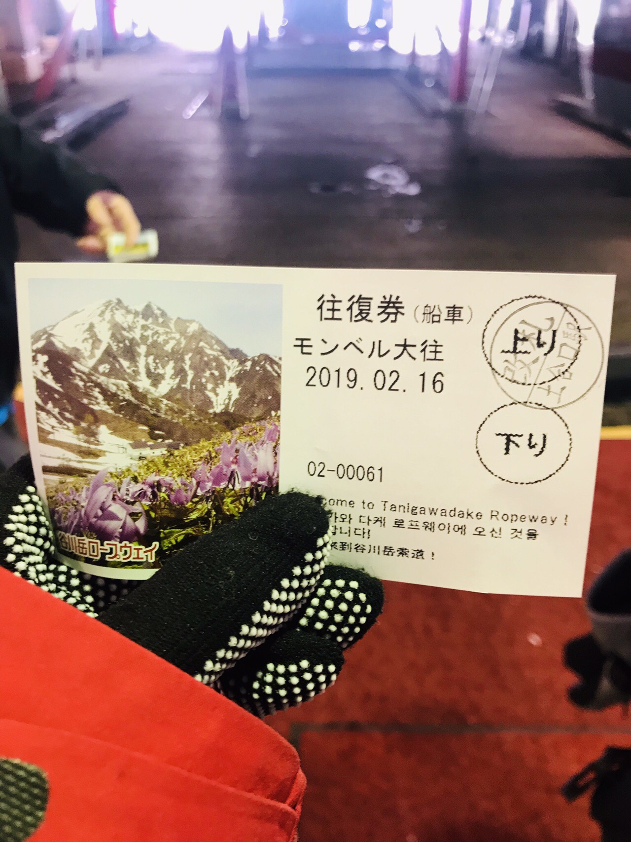 谷川岳 熊穴沢避難小屋で撤退 Miaさんの谷川岳 七ツ小屋山 大源太山の活動データ Yamap ヤマップ