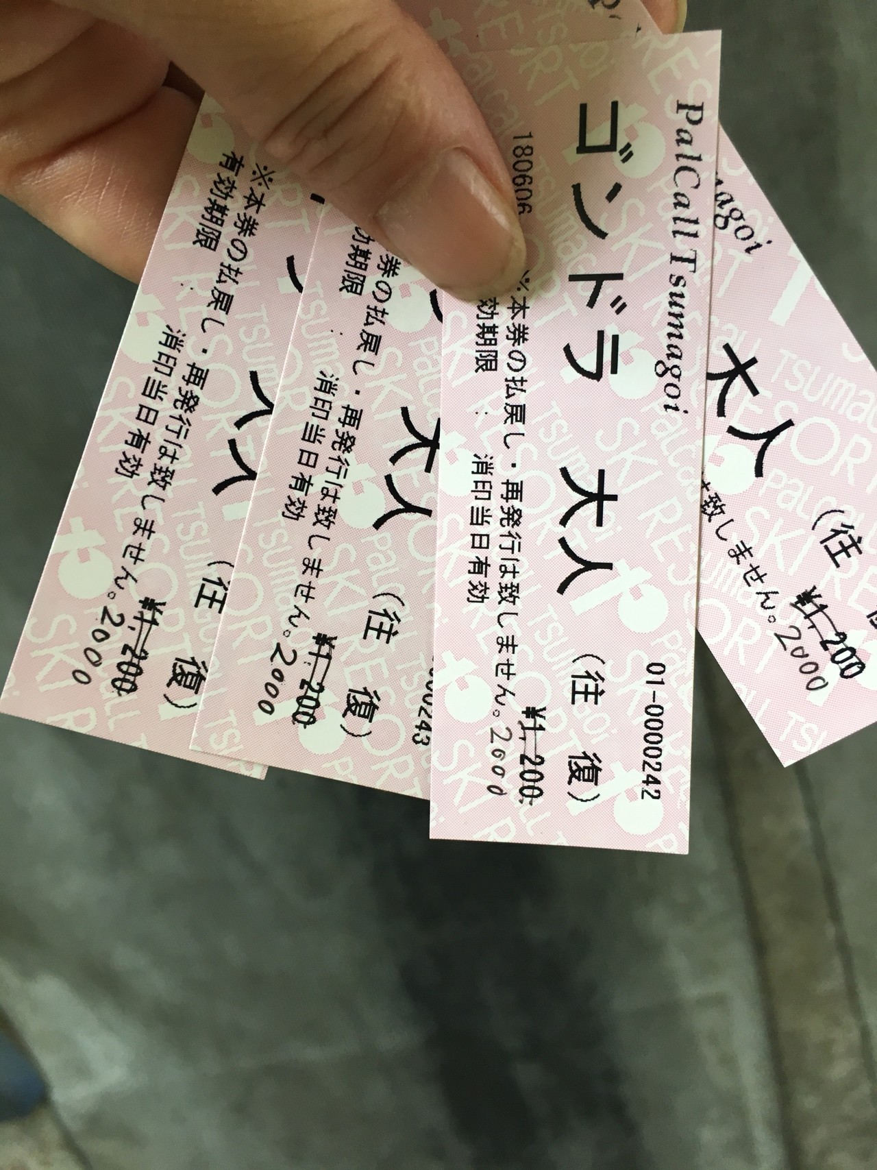 四阿山 By ゆるゆる女子登山部 ゴンドラでセレブ登山の巻 裕子さんの四阿山 根子岳の活動データ Yamap ヤマップ