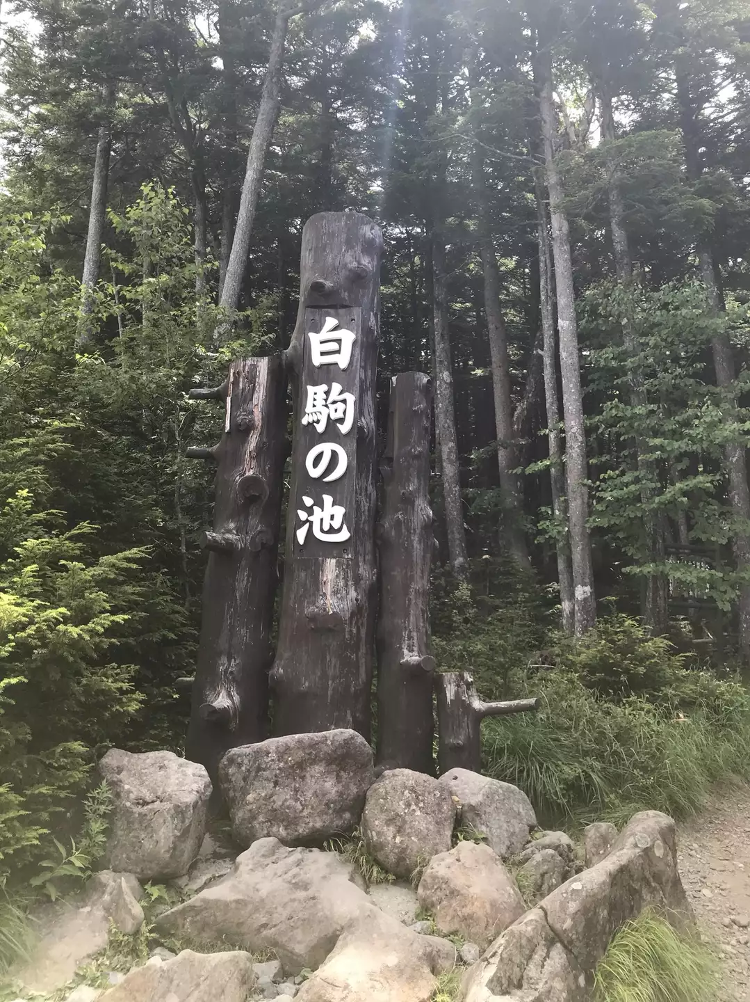 白駒池から高見石小屋までハイキング たれまささんの八ヶ岳 赤岳 硫黄岳 天狗岳 の活動データ Yamap ヤマップ