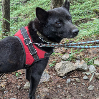 たーちゃん＆ひとみ