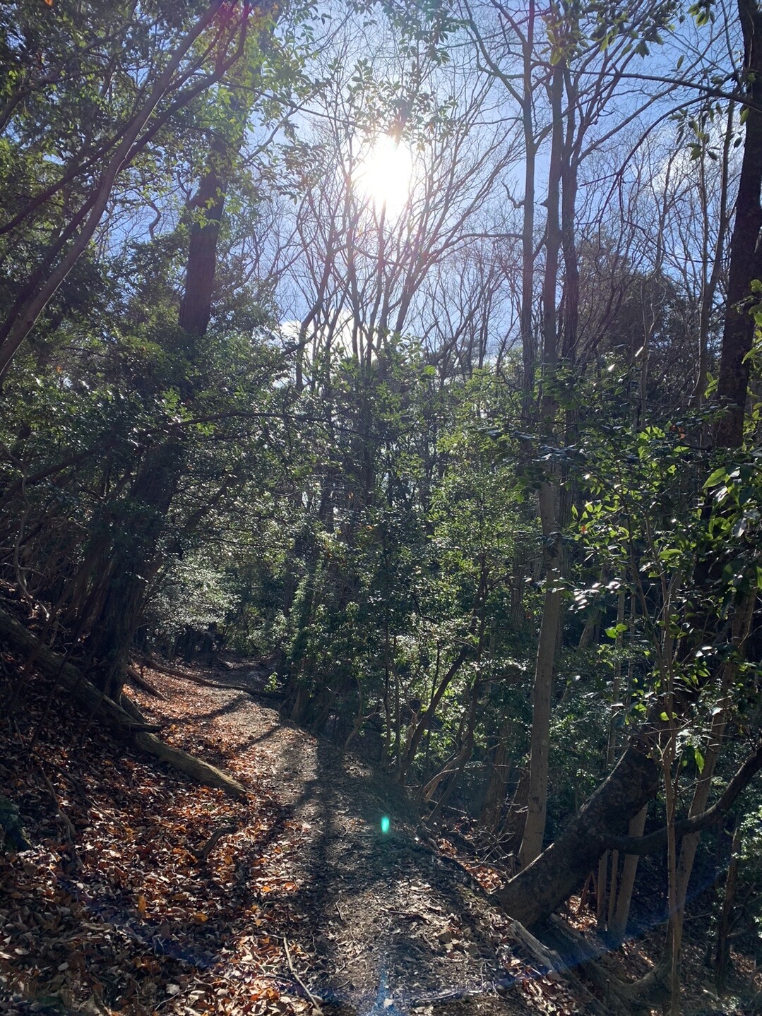 三濃山 / Sさんの三濃山・感状山の活動データ YAMAP / ヤマップ