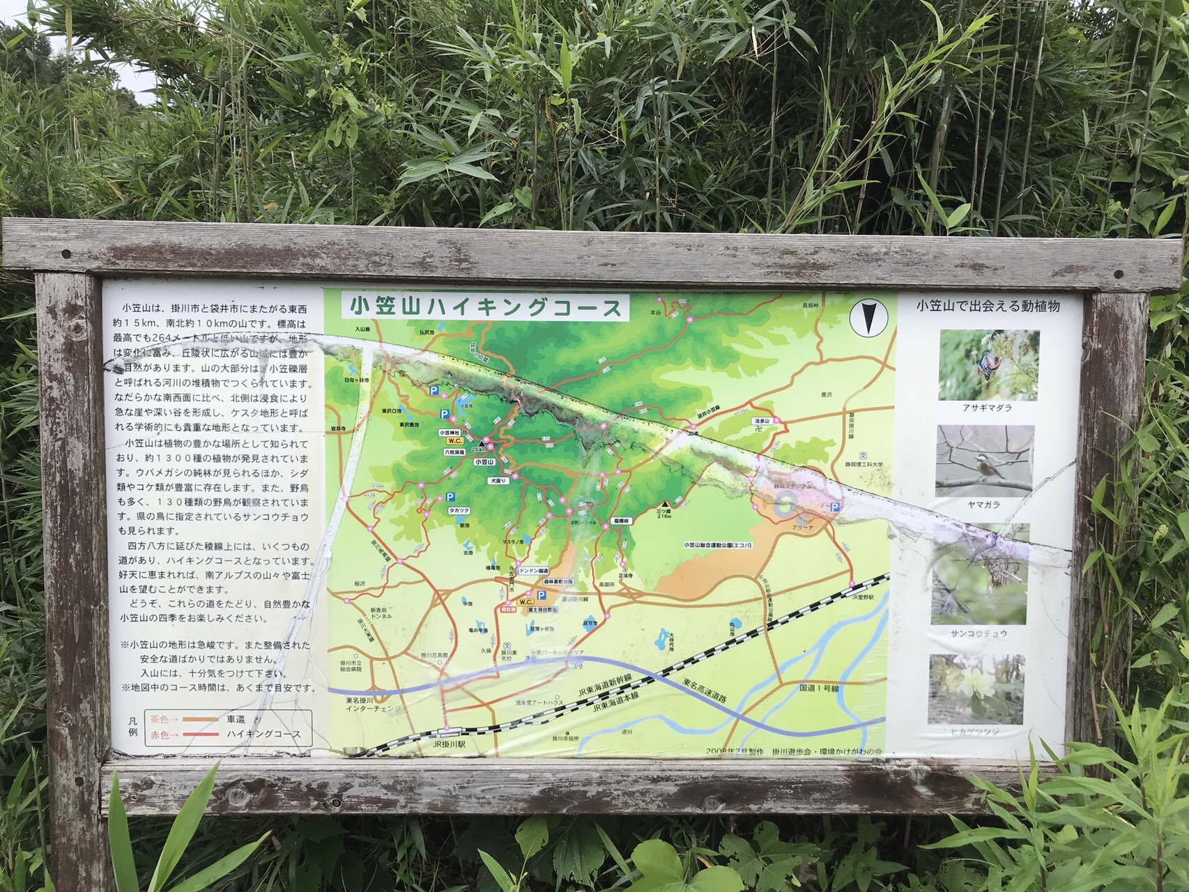 意外と危険な小笠山 たけぞーさんの小笠山の活動日記 Yamap ヤマップ