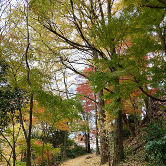 紅葉がキレイ🍁